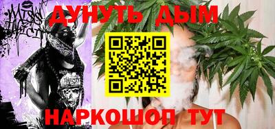 сатива Шебекино