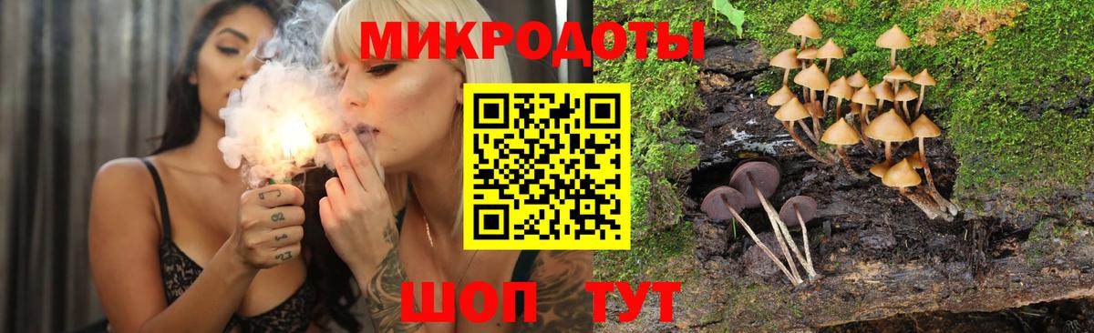 Псилоцибиновые грибы Psilocybine cubensis Долгопрудный