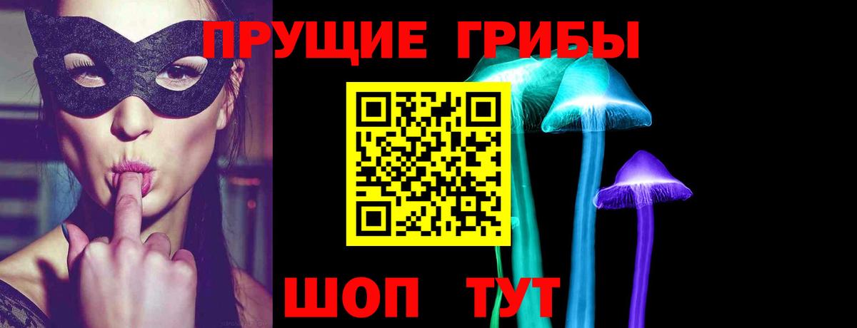 цены   Вход с VPN  Долгопрудный  Псилоцибиновые грибы Psilocybine cubensis  Галлюциногенные грибы GOLDEN TEACHER 