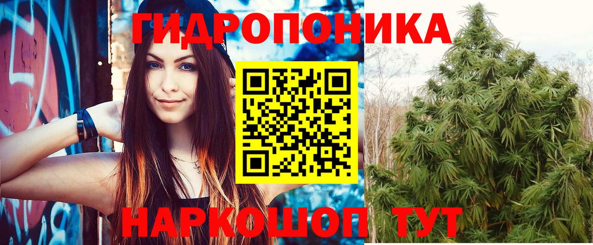 Канабис Bruce Banner  Конопля сатива  Долгопрудный  Каннабис сатива  Вход с VPN 